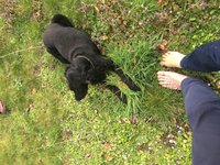 LACHEN IS GEZOND LACHEN IS GEZOND