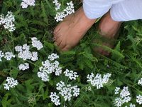 In de natuur draait het om harmonie en samenwerken.