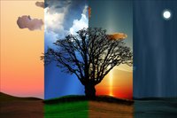 De circadiaanse ritmiek (dag- en nachtritme)