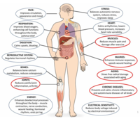Wat is “aarden” een kort overzicht