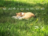 Snurkt je slaapmaatje?