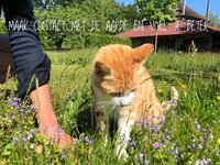 MAAK CONTACT MET DE AARDE EN VOEL JE BETER