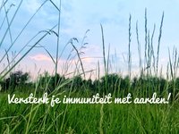 ‘Verwoest het moderne leven ons immuunsysteem?’