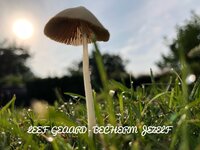 Shielding, bescherm jezelf tegen (on)gewenste straling