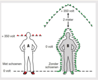 Biologische ®evolutie!