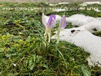 Review legt precies uit wat aarden doet!