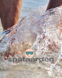 Spataderen en aarden