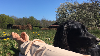 Geniet je van wat de de zon en de aarde je aanbieden?