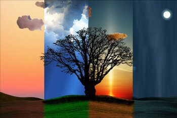 De circadiaanse ritmiek (dag- en nachtritme)