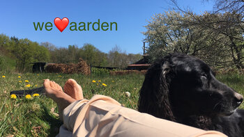 Geef het reptielenbrein vaker het sein ‘VEILIG’ : ga AARDEN