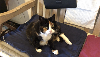 Aarden, voor mens en dier