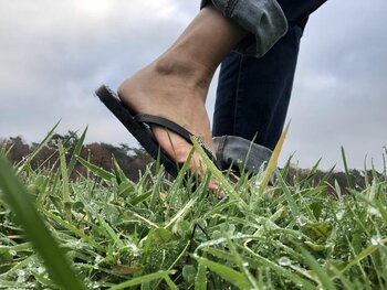 Twee belangrijke aspecten van aarden