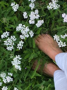 Ticket  wandeling Eefde 